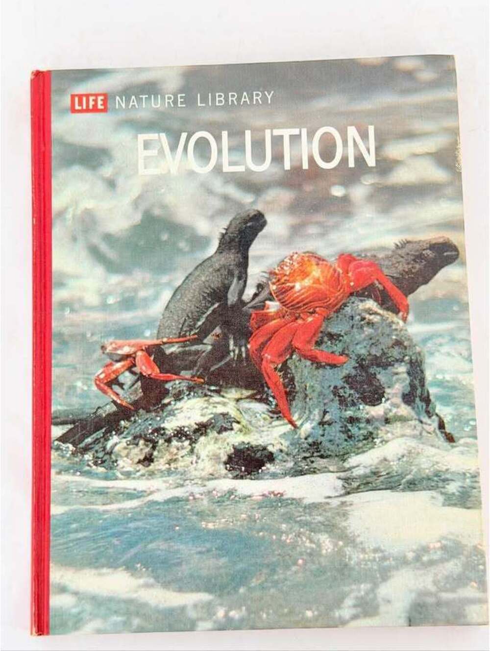 Vintage LIFE Nature Library Evolution Hardcover Book 1964 Ruth Moore